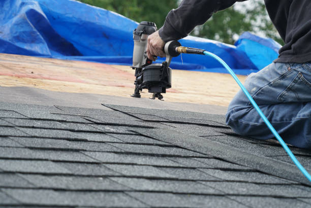 Best Roof Gutter Cleaning  in Bryan, OH