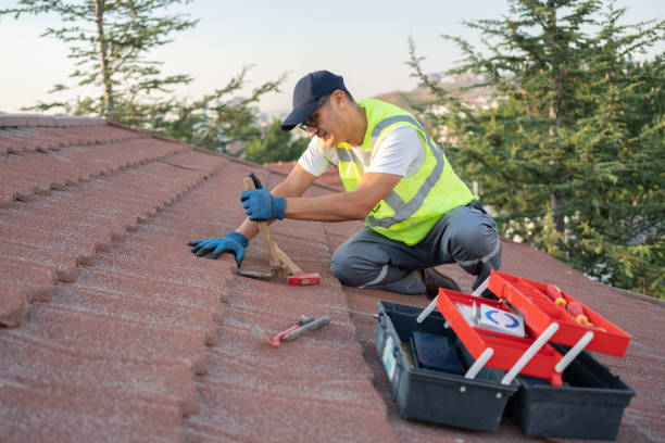 Roof Gutter Cleaning in Bryan, OH